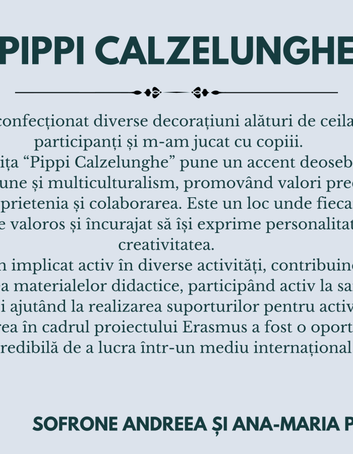 Diseminare Proiect 123865-09