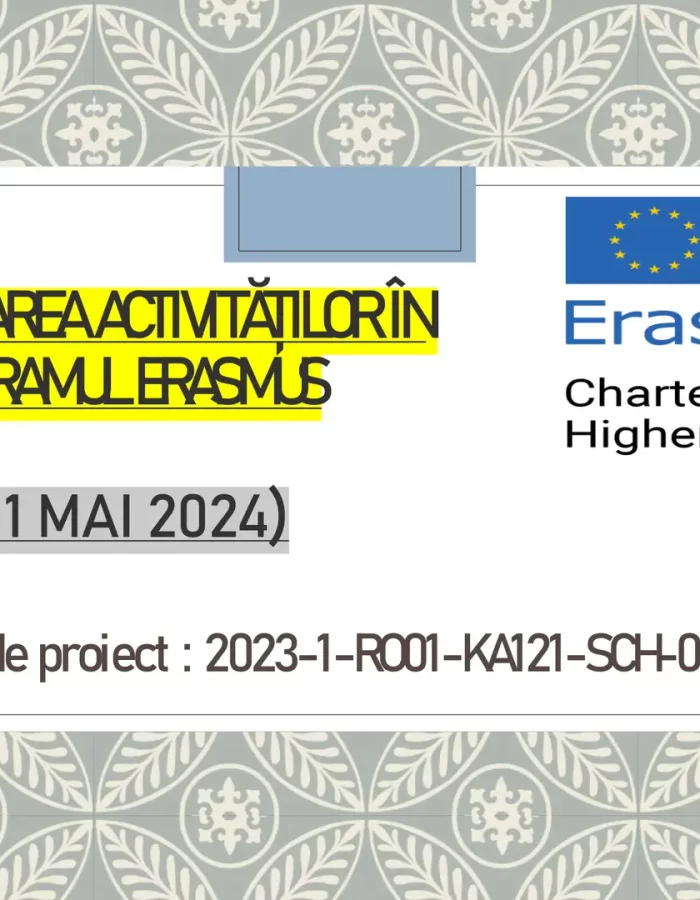 Diseminare mobilitate de grup Roma, Proiect Erasmus 119751-01