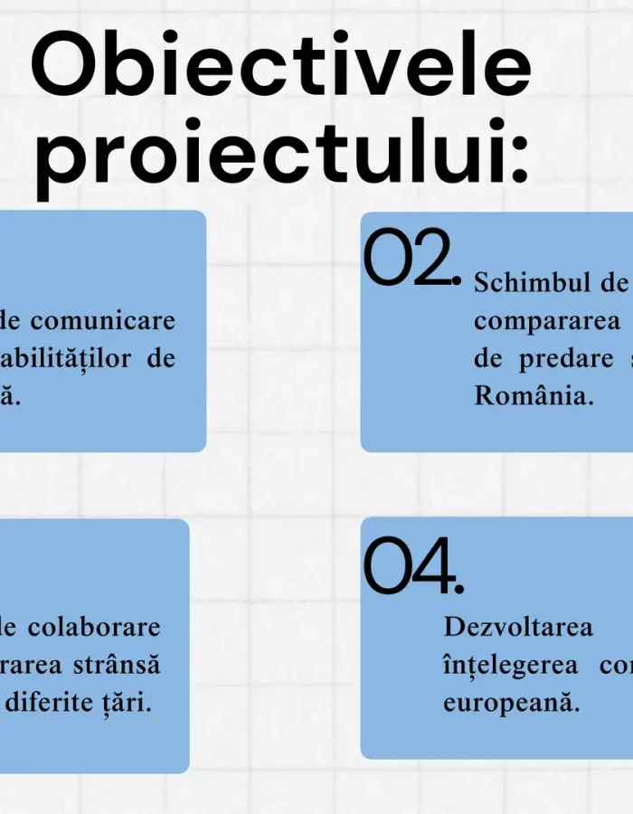 Disminare mobiliatte Nice, Proiect Erasmus + nr. 119751-3