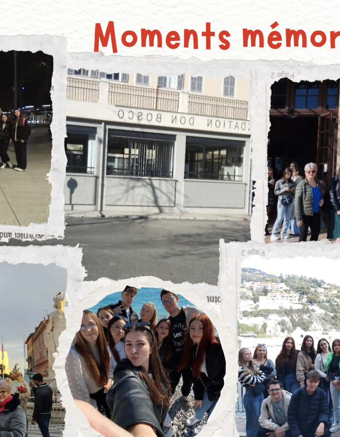 Disminare mobiliatte Nice, Proiect Erasmus + nr. 119751-8